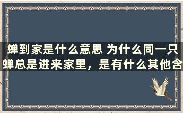 蝉到家是什么意思 为什么同一只蝉总是进来家里，是有什么其他含义么